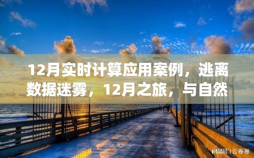 12月實時計算應(yīng)用案例，數(shù)據(jù)迷霧中的逃離之旅與自然美景的實時對話