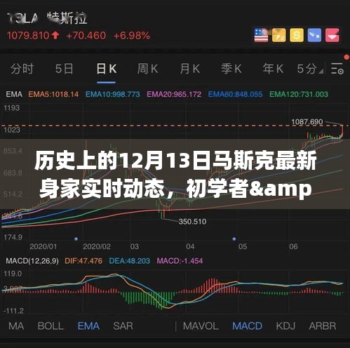 揭秘馬斯克最新身家動態(tài)，歷史上的12月13日追蹤詳解與初學(xué)者進(jìn)階指南