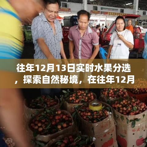探索自然秘境，水果盛宴中的寧靜與平和體驗