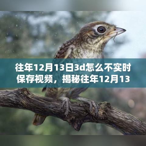 揭秘，為何往年12月13日3D技術(shù)未能實時保存視頻的背后真相