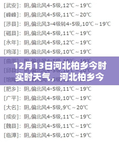 第1338頁