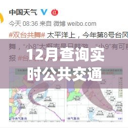 與實時出行共舞，12月實時公共交通查詢指南