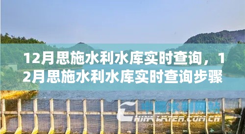 12月思施水利水庫實(shí)時查詢系統(tǒng)使用指南