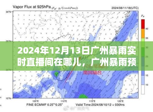 2024年廣州暴雨預警及實時直播間觀看指南