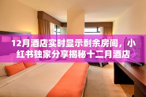 揭秘十二月酒店實時房態(tài)顯示秘籍，小紅書獨家分享，輕松預(yù)訂心儀住宿！
