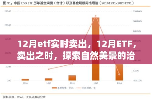 12月ETF實(shí)時(shí)賣出，探索自然美景的治愈之旅