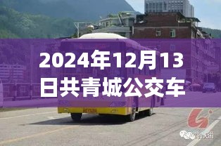 2024年共青城公交車實時查詢指南，輕松出行，無憂旅途