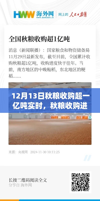 秋糧收購(gòu)進(jìn)展順利，截至12月13日實(shí)時(shí)收購(gòu)量超一億噸的綜合分析