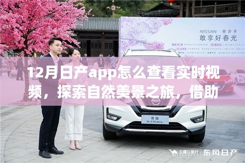 日產(chǎn)App冬季實(shí)時(shí)視頻指南，探索自然美景，心靈與實(shí)景交融之旅