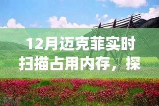 邁克菲實時掃描與內(nèi)存占用，自然之旅尋找內(nèi)心平和之地