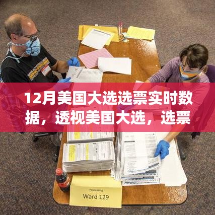 透視美國(guó)大選，選票實(shí)時(shí)數(shù)據(jù)的深度解讀與影響洞察