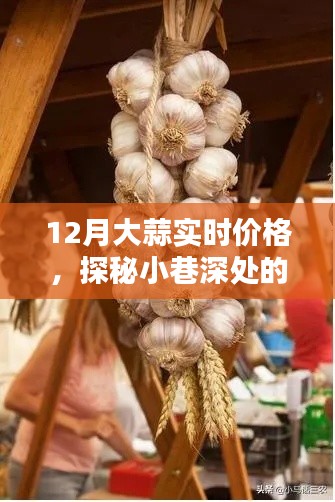 探秘小巷深處的蒜香樂園，揭秘大蒜實時價格走勢，洞悉市場變化
