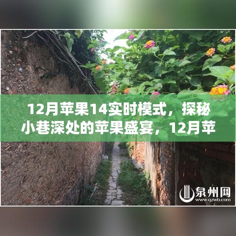 探秘蘋果盛宴，獨(dú)家體驗(yàn)蘋果14實(shí)時(shí)模式下的秘密小巷