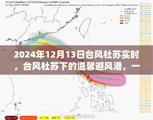 臺(tái)風(fēng)杜蘇下的夏日奇遇，友情避風(fēng)港實(shí)時(shí)報(bào)道 2024年12月13日