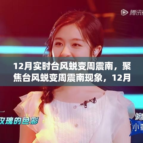 臺(tái)風(fēng)蛻變周震南現(xiàn)象，12月實(shí)時(shí)觀察下的多元解讀與反思