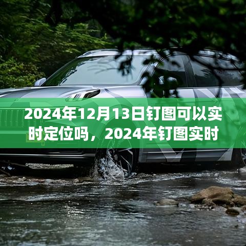 關(guān)于釘圖實時定位功能解析，能否在2024年12月13日實現(xiàn)實時定位