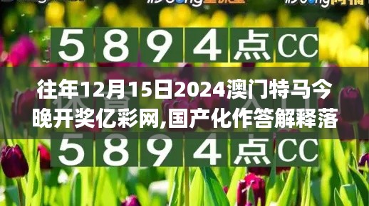 往年12月15日2024澳門特馬今晚開獎(jiǎng)億彩網(wǎng),國產(chǎn)化作答解釋落實(shí)_eShop6.754