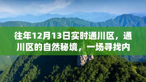 通川區(qū)自然秘境，尋找內(nèi)心平靜的奇妙之旅，12月13日實(shí)時(shí)探索之旅