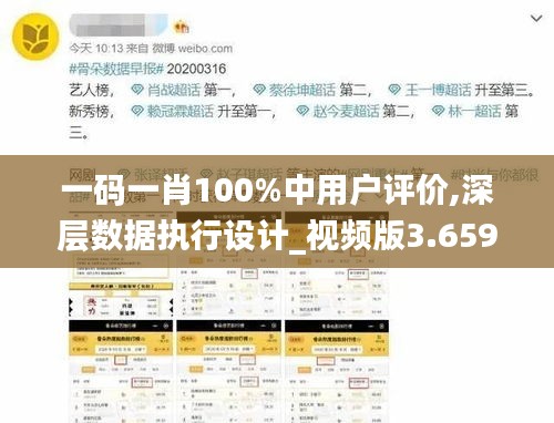 一碼一肖100%中用戶評價(jià),深層數(shù)據(jù)執(zhí)行設(shè)計(jì)_視頻版3.659