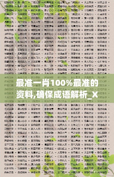 最準一肖100%最準的資料,確保成語解析_X版5.471