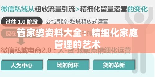 管家婆資料大全：精細化家庭管理的藝術