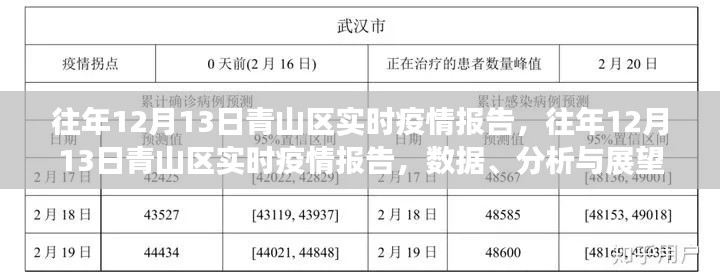 往年12月13日青山區(qū)疫情實(shí)時(shí)報(bào)告，數(shù)據(jù)、分析與未來展望