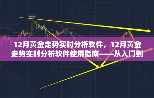 從入門到進階，12月黃金走勢實時分析軟件使用指南與深度解析