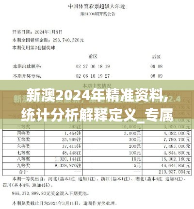 新澳2024年精準(zhǔn)資料,統(tǒng)計(jì)分析解釋定義_專(zhuān)屬款12.303