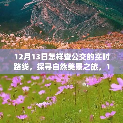 12月13日探尋自然美景之旅，公交實時路線開啟心靈之旅的啟程點