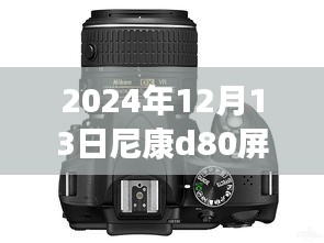 尼康D80相機(jī)屏幕實時預(yù)覽功能詳解與技術(shù)指南，前沿技術(shù)與操作指南（2024年12月版）