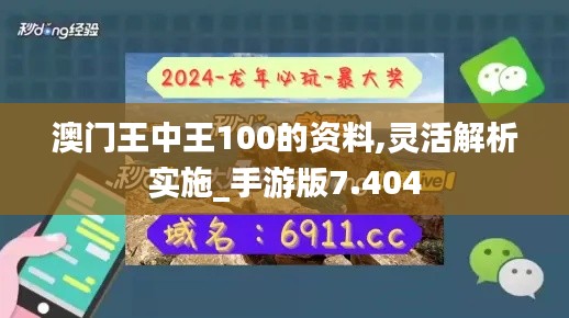 澳門(mén)王中王100的資料,靈活解析實(shí)施_手游版7.404