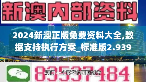 2024新澳正版免費資料大全,數(shù)據(jù)支持執(zhí)行方案_標(biāo)準(zhǔn)版2.939