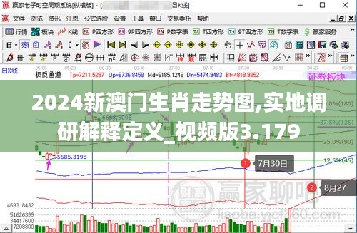 2024新澳門生肖走勢圖,實地調(diào)研解釋定義_視頻版3.179