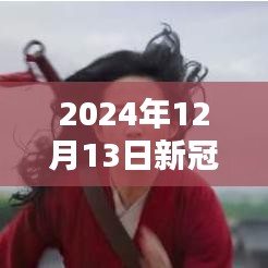 北京新冠肺炎實時狀況多元觀點探析（2024年12月13日）