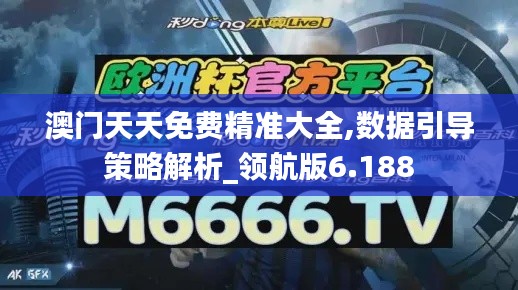 澳門(mén)天天免費(fèi)精準(zhǔn)大全,數(shù)據(jù)引導(dǎo)策略解析_領(lǐng)航版6.188