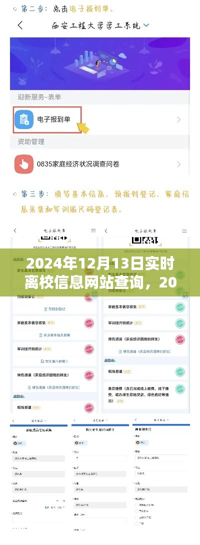 2024年離校信息網(wǎng)站查詢指南，實(shí)時(shí)更新與操作指南，適用于初學(xué)者與進(jìn)階用戶