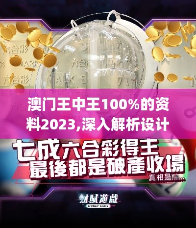 澳門(mén)王中王100%的資料2023,深入解析設(shè)計(jì)數(shù)據(jù)_VR8.530