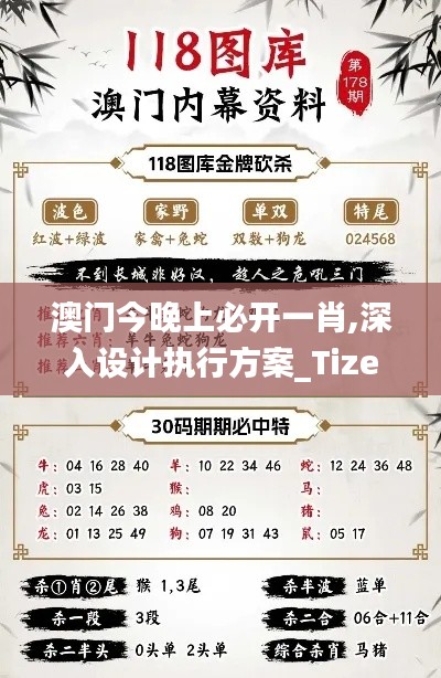 澳門今晚上必開一肖,深入設(shè)計執(zhí)行方案_Tizen13.164