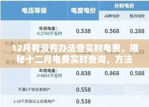 揭秘十二月電費實時查詢方法與影響，背景及操作指南
