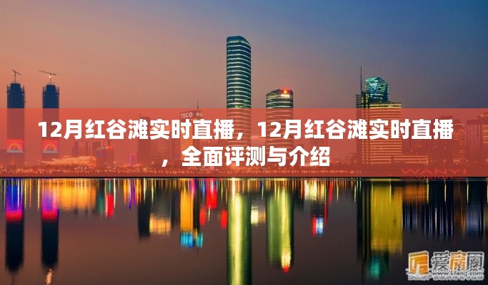 12月紅谷灘實(shí)時(shí)直播，全面評(píng)測(cè)與詳細(xì)介紹