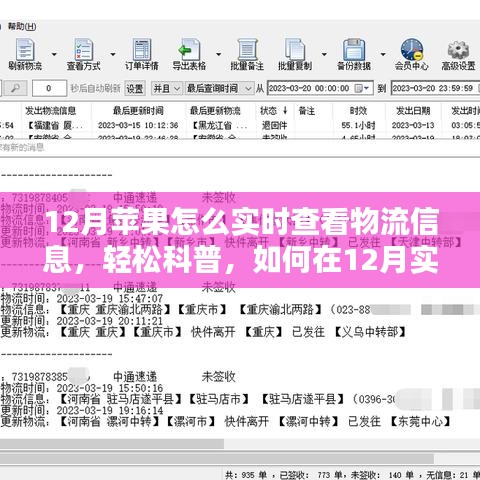 12月蘋果產(chǎn)品物流實時跟蹤指南，輕松科普如何查看物流信息
