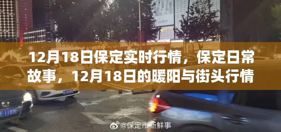 保定日常故事，暖陽(yáng)下的街頭行情與實(shí)時(shí)動(dòng)態(tài)