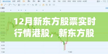 新東方股票實時行情港股評測與介紹，深度解析12月股市動態(tài)