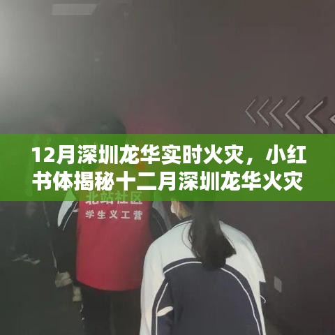 小紅書揭秘，深圳龍華火災(zāi)真相與緊急應(yīng)對(duì)實(shí)錄，反思與啟示