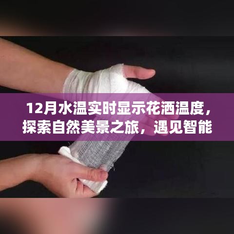 智能水溫花灑，探索自然美景之旅，實時水溫體驗開啟內(nèi)心寧靜與歡笑