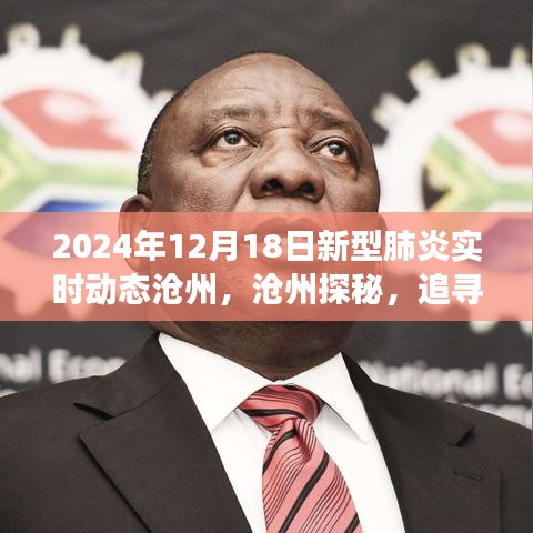 滄州新型肺炎實(shí)時(shí)動態(tài)與探尋自然美景之旅，擁抱寧靜微笑