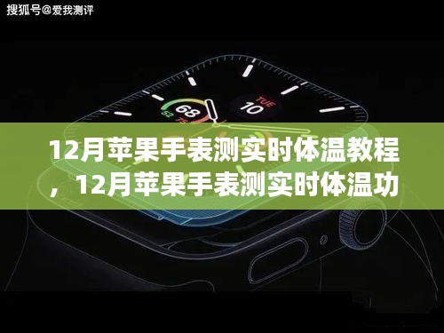 12月蘋果手表實時體溫測量功能詳解與教程，觀點闡述與全面解析