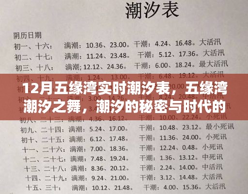 五緣灣潮汐秘密大揭秘，潮汐表實(shí)時(shí)更新，感受時(shí)代印記的舞蹈