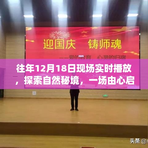 探索自然秘境，一場由心啟航的旅行盛宴，相約自然之門的盛宴