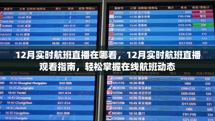 掌握在線航班動態(tài)，12月實時航班直播觀看指南